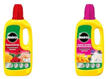Miracle-Gro Rose & Shrub Concentrated Plant Food, 800 ml & 121180 Azelia, Camellia & Rhododendron Concentrated Plant Food, 800 ml, Natural