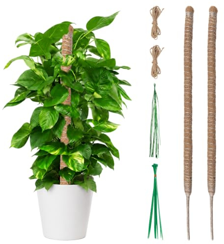 Tutore per Piante Monstera 2x 60 cm - Palo di Muschio Pieghevole in Fibra di Cocco con Anima in Alluminio, Supporto Modellabile per Piante Rampicanti da Interno, Set Completo con Legacci da Giardino