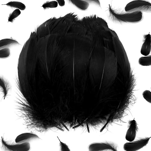 Bogoro Schwarze Federn – DIY Hochzeitsdekoration, Kostümschmuck & Party Accessoires Schwarze Federn Verzierung für Hut, Kostüm & Hochzeit – 100 Stück DIY Deko Accessoire