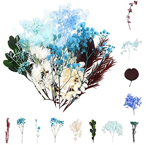 Winkwinky Trockenblumen Blau, Trockenblumen Zum Basteln, Wildblumen Deko Gemischte Bastelblumen für DIY Epoxidharz Scrapbook Zubehör Handgemachte Heimdekoration Hochzeit(Blau)