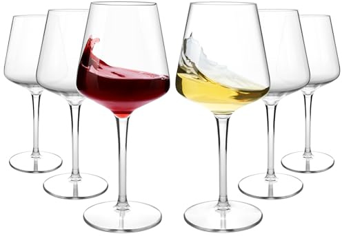HAHASHOW Unzerbrechliche Weingläser Set, Tritan Weingläser Kunststoff, Bruchsicher Weißweingläser, 445 ml Plastik Rotweingläser 6er set