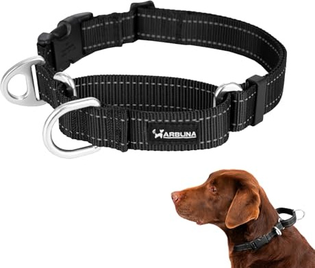 Arblina Martingale halsband, reflekterande dragstopp halsband hundar för stora medelstora och små hundar, nylon hundhalsband anti-drag, anti-draghalsband för hundar, svart, L