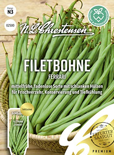 Filetbohne Ferrari Samen, Saatgut