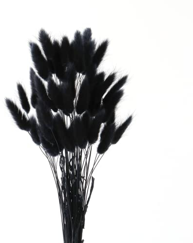 TYEQWT 50 Palos Natural Pampas Secas Decoracion, Pampas, Adecuado para Boho Decoración del Hogar, Flores secas Decoracion, Boda Decoracion, Flores Secas Manualidades La creación de (Negro)