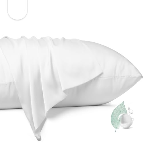 100% Mulberry Silk Pillowcase 2 Pack,Queen Size Silk Pillow Cases for Hair and Skin,Silky Smooth Bed Pillow Cover with Hidden Zipper,Natural Silk Pillow Case Set of 2 (White, Queen 20X30)