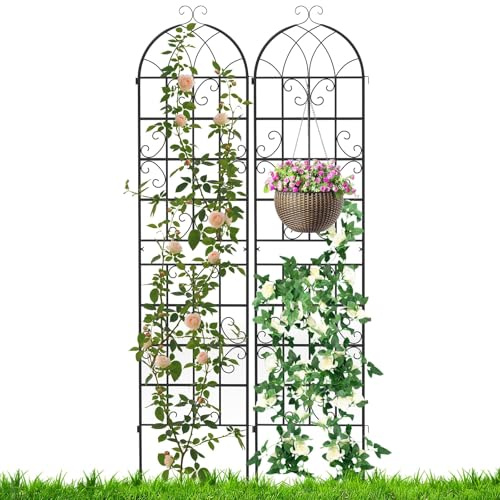 RELAX4LIFE Lot de 2/4 Treillis Plante Grimpante Exterieur, Treillis Jardin 220 CM en Métal, Support pour Plantes Grimpantes, Ornement Délicat Rétro, pour Vigne Lierre Rose (Noir | 2Pcs, 220 CM)