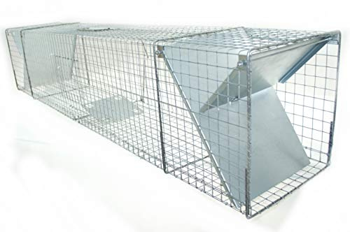 POKM Toolsmarket GmbH levande fälla 150 x 29 x 31 cm rävfälla, tvättbjörn, fälla, ,lådfälla, Marten-fälla, bäverfälla, två ingångar