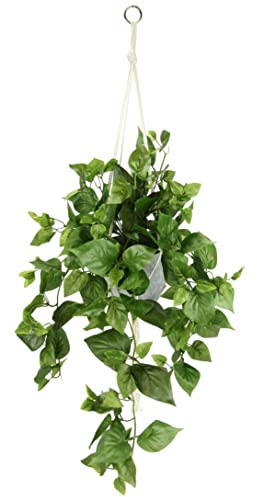 Flair Flower Filete Colgante Artificial con Maceta, Planta Artificial, Guirnalda, Planta Verde, Planta Verde, Planta de Interior, Planta trepadora, Hiedra, Hiedra, Maceta, Flor Artificial, Philo