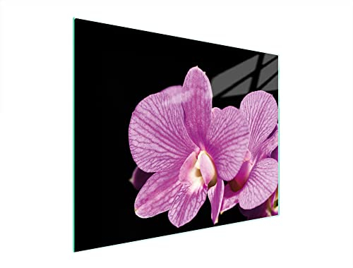 DarHaus Herdabdeckplatte 52x40 cm 1-teilig Ceranfeldabdeckung Induktion Herdschutz Spritzschutz Glasplatte Deko Schneidebrett, Orchidee Violett