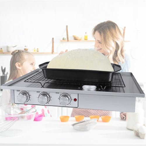Pétrin à pâte Domestique 20 L avec Fonction de Fermentation et minuteur, Base en Acier Inoxydable, pour Pain, Pizza, Nouilles, Moyen - 220 V