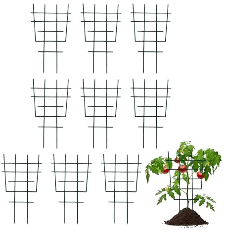 Enrejado para plantas de interior, pequeño juego de 10 unidades, ayuda de escalada para plantas de jardín, para vid, hiedra, clemátide, hiedra