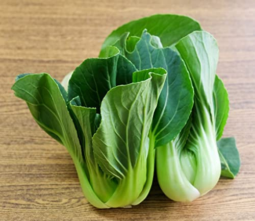 Toy Choy Baby Pak Choy Stir Fry Heirloom Premium Seeds for Planting Packet Bok Choi
