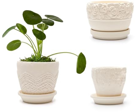 Rujevia Set di 3 Vasi per Piante Grasse, 10+9+8cm, Cemento, Beige | Decorativi da Interno con Sottovaso, Per Cactus e Piante in Miniatura