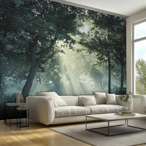 Generisch Fototapete Wanddeko Wandbild Wald, 350x256 Sonne Natur Landschaft Motivtapeten Wandtapete, Vliestapete Panorama Poster Wanddeko, Küche Wohnzimmer Schlafzimmer
