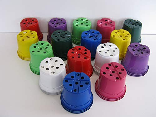 The Flowerpot Men 100 x Coloured 10.5CM Plant Pots