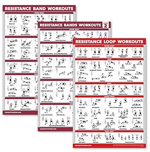 Palace Learning 3 Pack: Resistance Bands Workouts Volume 1 & 2 + Resistance Loops Exercises Poster Set - Set of 3 Workout Charts