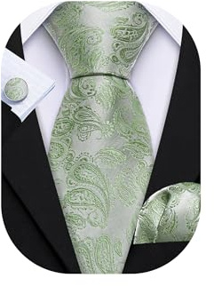 Barry.Wang Paisley Herren-Krawatten-Set, Seidenkrawatte, Einstecktuch, Manschettenknöpfe, formelle Hochzeit, Party, Business, Salbeigrün Paisleymuster, Einheitsgröße
