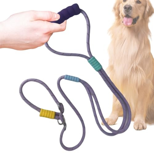 Hundkoppel Kabel Husdjurs Promenad Koppel Rep