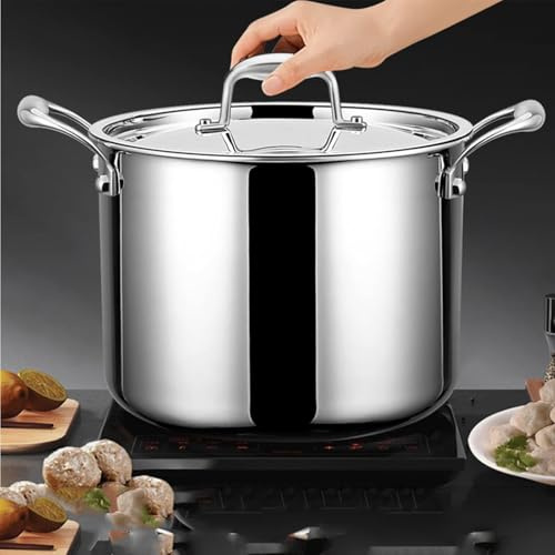 THEGA Pentola Grande con Coperchio - Pentola in Acciaio Inossidabile, Pentola per Zuppa Multifunzionale per Uso Domestico, Pentola per Zuppa con Coperchio in Vetro, per Casa/Ristorante(26cm)