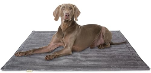 Knuffelwuff Hundedecke Timor 140x100cm Grau - Bequeme und Pflegeleichte Liegedecke aus weichem Cord - waschbar - für große, mittelgroße und kleine Hunde