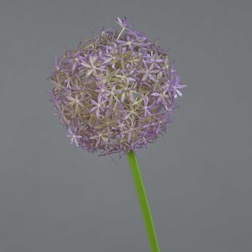 artplants.de Allium Artificiel Samara, Lilas, 75cm, Ø 12cm | Fleur Artificielle - Allium sur Tige