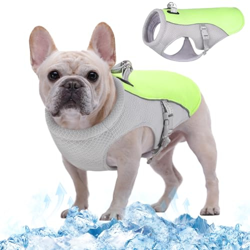 Kuoser Kühlweste für Hunde, Kühlweste Hund für Sommer mit D-Ring, Grün M | Hunde Kühlweste für heiße Sommertage, Atmungsaktive & Reflektierende Hundekühlwesten, Kühljacke Hund für Aktivitäten Draußen