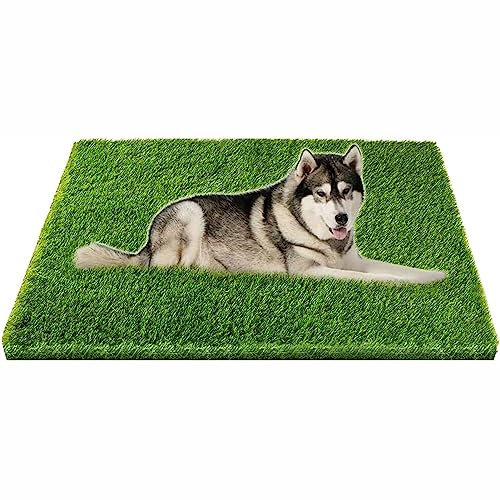 HUHJYUGE Kunstrasen Rasenteppich 4x6m, Rasenteppich mit Drainagelöchern, Kunstrasenteppich 30mm Hoher Dichte Natürlich und Realistisch Aussehend, UV-Beständigkeit Antirutsch
