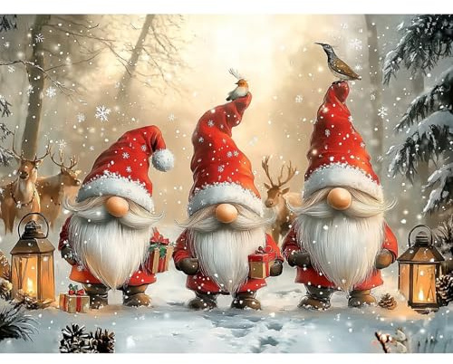BOWETILE 5D Diamond Painting Bilder, Diamant Painting Weihnachtsgnom, Diamond Painting Set für Erwachsene Kinder, Komplettes DIY Diamond Art Malen Stickset, Kreuzstichbilder für Wohnkultur 40x30 cm