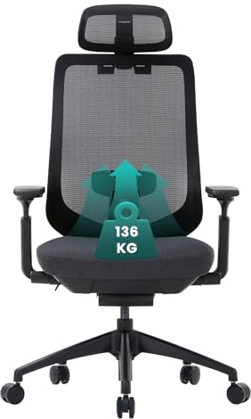 COLAMY Ergonomic Mesh Office Chair, High Back Computer Executive Desk Chair with Adjustable Headrest and 4D Arms, Slide Seat, Tilt Lock, Black