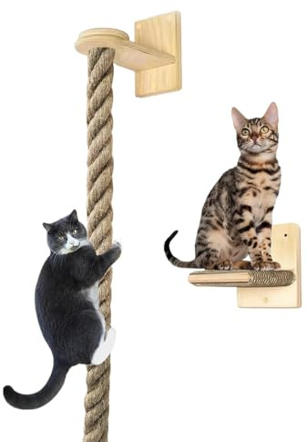 Amesor Katzenklettertau Deckenmontage,Indoor Katzen Ruhepodeste - Katzenschutzleiter Mit Wandmontage Für Wohnung Katzenmöbel