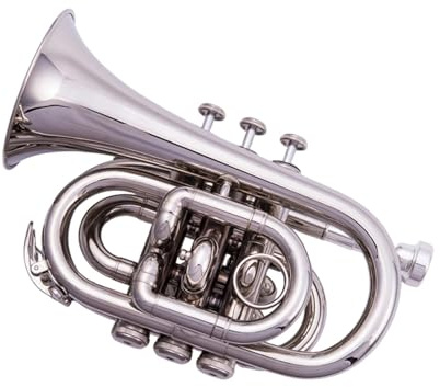Professionelles Instrument Trompete Trompete Instrument B Flat Mini Anfänger Performance Profi(Silver)