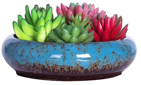 Vaso per piante grasse Grande vaso per bonsai con foro di drenaggio Vaso per piante di cactus in ceramica per interni ed esterni Grande vaso per bonsai Vaso per piante in ceramica Vaso per fiori in ce