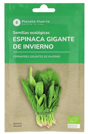 Planeta HUERTO | Semillas Ecológicas de Espinaca Gigante de Invierno – Hojas Abundantes y Tiernas, Gran Resistencia al Frío