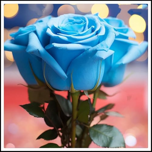 Resistente al frío - Raíces de rosas - Decoración paisajística para terraza y jardín - Vertical - -/【CXXFGFT】.-3 rizoma-D