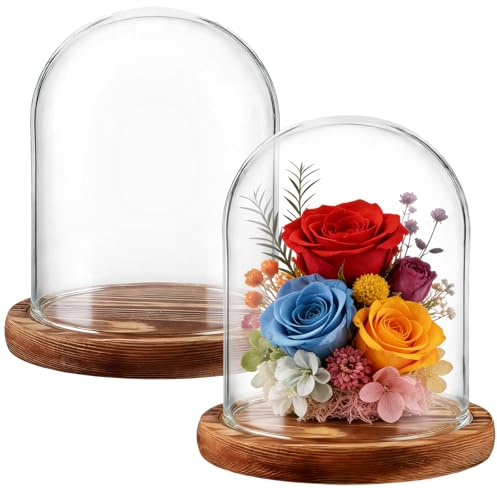 AKOLAFE 2 stycken glasklockor med trägolv, 15 cm, hög glaskupol, dekoration, 12 cm diameter, glaskåpa, transparent glasklocka, dekoration för dockor, ljus, samlarobjekt