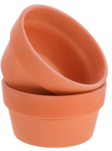 Happyyami 2 vasi per piante in terracotta, con foro di drenaggio, diametro 12,5 cm, vasi piatti in argilla per cactus e piante da soggiorno