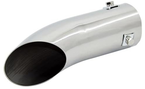 Exhaust Pipe Universal Bil Rostfritt Stål Avgasrör Ljuddämpare Ändspetsar 59mm Avgassystem