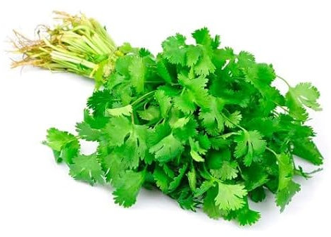 Semillas de Perejil Liso Común para Cultivar en Casa de Forma Sencilla