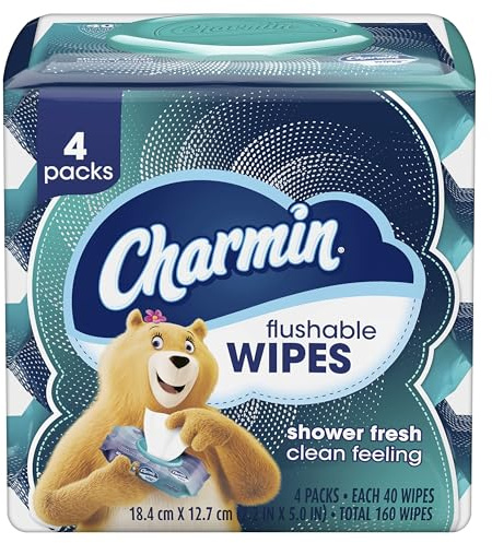 Charmin Flushable Wipes, 4 packs, 40 Wipes Per Pack, 160 Total Wipes