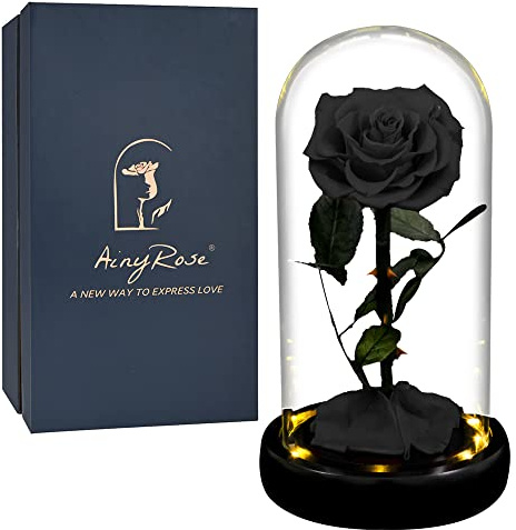 AINYROSE Gift for Women Preserved Rose in Glass Dome with Light | Women Gifts,Romantic Gift for Her,Mothers Day,Valentines Day,Birthday,Christmas,Anniversary