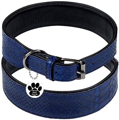 FAVPET Luxus Echtleder Halsband Hund Breit mit QR Code Anhänger, Gepolstertes Hundehalsband Leder Breit, Breites Lederhalsband Hund, Breite Hunde Halsbänder, Welpenhalsbänder Leder (Blau, S)