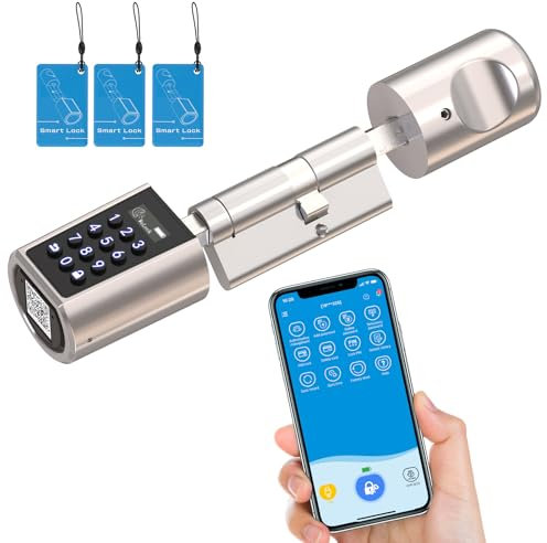 RUILON Serratura elettronica intelligente, Wifi/Password/Scheda RFID/Bluetooth/APP Serratura della porta, Serrature per porte regolabili per spessori della porta 50-100mm