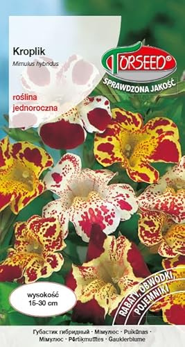 Verdica Lebhafte Glockenblume Mimulus Mimulus hybridus Samen – Faszinierende Mehrfarbige Blüten, Ideal für Beete, Rabatten & Gefäße, 15-30 cm Wuchs (0,25 Gramm)