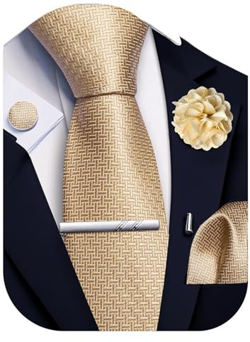 Ailisus Cravatta a righe e fazzoletto, fermacravatta gemelli spilla da bavero set matrimonio festa cravatta di seta tinta unita set formale 5 pezzi, Oro, Taglia unica