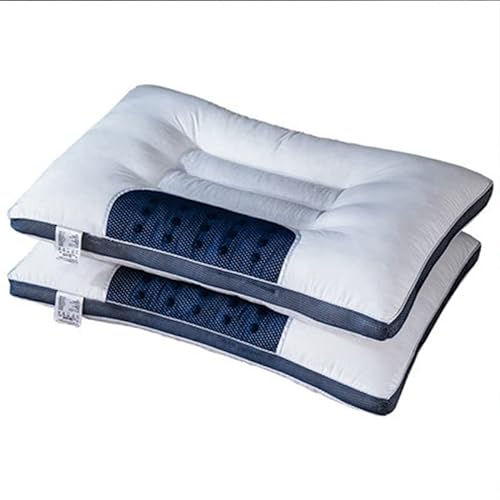 JMYSD Buchweizenkissen, Kissen Baumwolle Dreidimensionales Buchweizen Cassia Kissen Doppelkissen Kern Paar Haushalt zum Schlafen (2 Stück)