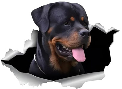 Autoaufkleber Rottweiler Aufkleber 15cm(5.9 Inch) Rottweiler Personalisieren Reflektierende Aufkleber 3D Zerrissen Aufkleber Haustier Hund Lustig Autoaufkleber Rottweiler Car Sticker Lustig Dekor