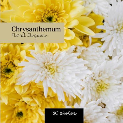 Chrysanthemum : Floral Elegance: Chrysanthemum photo book - 80 delicate and inspiring images