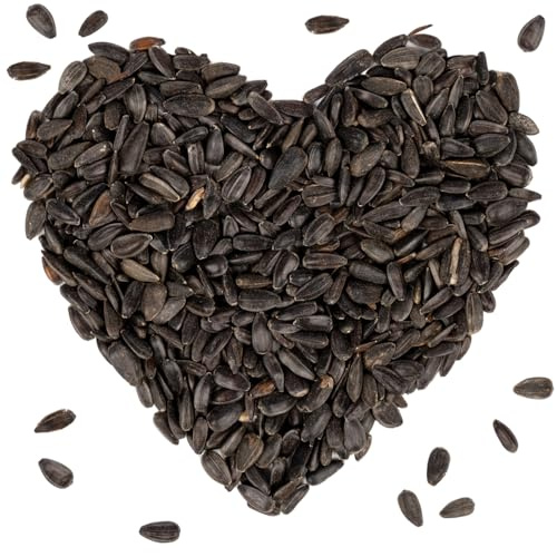 Lyra Pet® | 10 kg Schwarze Sonnenblumenkerne | HK Bulgarien | Ganzjähriges Wildvogelfutter | Hochwertiges Streufutter für Wildvögel | Fettreicher Gourmetsnack | Energie für Alle Körnerfresser | Ganzjähriges Wildvogelfutter - Ideal für kleine Vögel - Mit höchstem Ölgehalt - Spendet Energie im Sommer und Winter