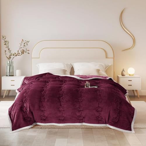 ShowyLive Kuscheldecke Flauschig Decke Sofadecke Fleecedecke Flanell Couchdecke Für Bett Sofa Schlafzimmer Büro- Dicke & Warm Wohndecke für Couch Sofaüberwurf (Rot, 150x200CM)