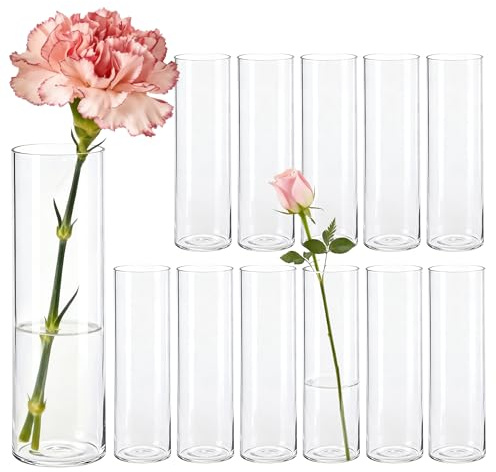 Der Rose Kleine Vasen für Tischdeko 15cm Zylinder Vasen Set Modern Blumenvase für Home Hochzeit Party Deko 24 Stück